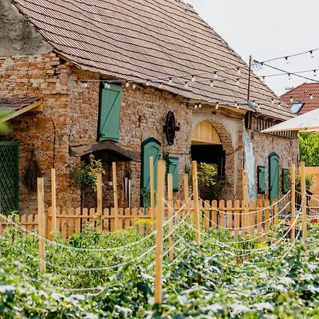 Guest house Anna Draga Colun